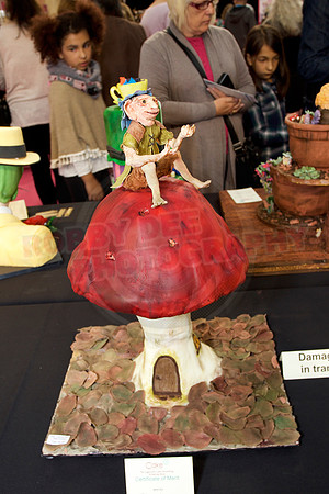 Cake International Cake Entries