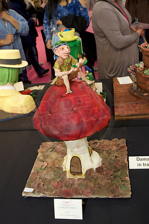 Cake International Cake Entries