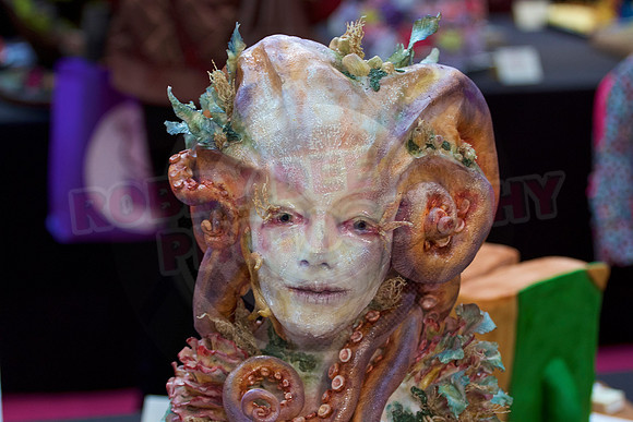 Cake International Cake Entries