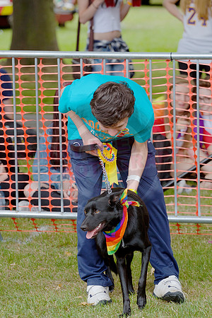 Essex Pride Dog Show Chelmsford