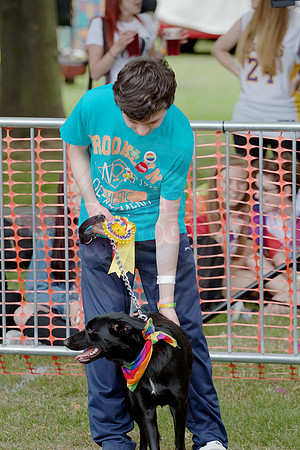 Essex Pride Dog Show Chelmsford