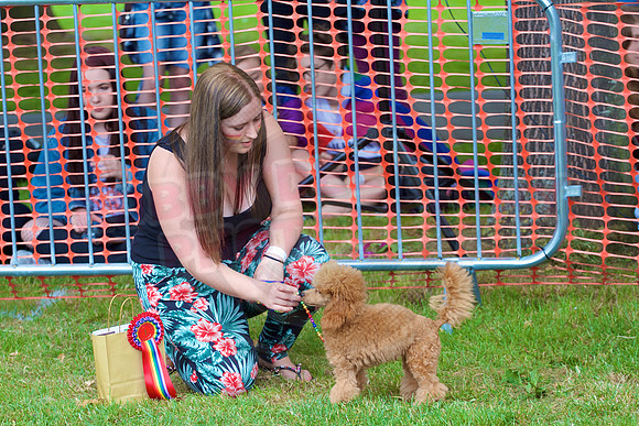 Essex Pride Dog Show Chelmsford