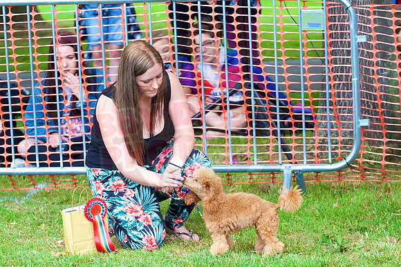 Essex Pride Dog Show Chelmsford