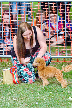 Essex Pride Dog Show Chelmsford