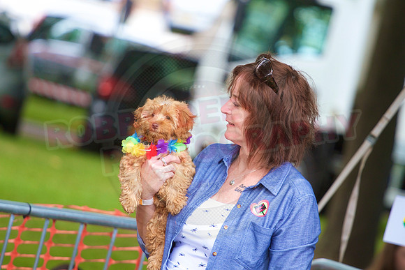 Essex Pride Dog Show Chelmsford