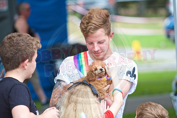 Essex Pride Dog Show Chelmsford