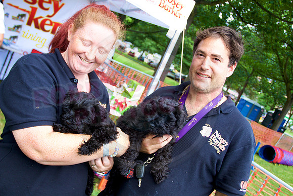 Essex Pride Dog Show Chelmsford