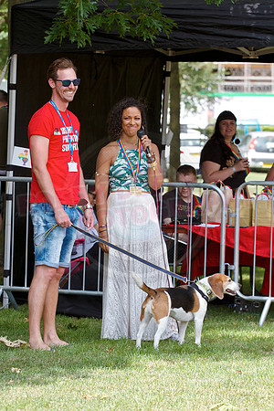 Essex Pride Dog Show Chelmsford