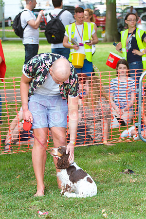 Essex Pride Dog Show Chelmsford