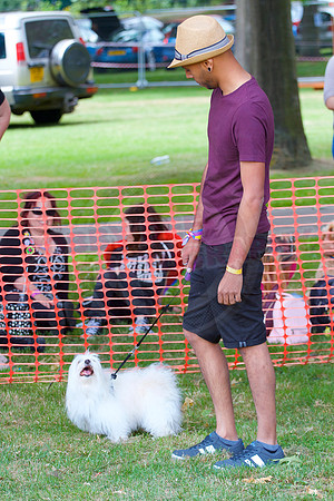 Essex Pride Dog Show Chelmsford