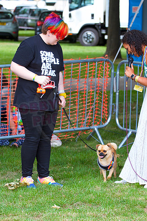 Essex Pride Dog Show Chelmsford