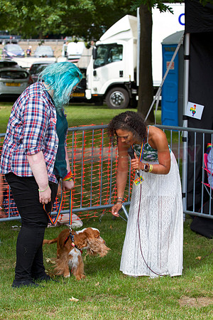 Essex Pride Dog Show Chelmsford