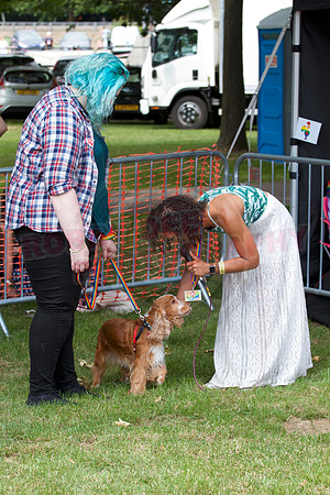 Essex Pride Dog Show Chelmsford