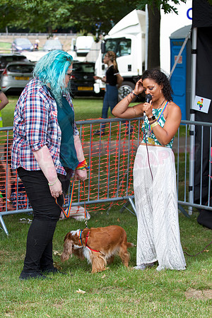 Essex Pride Dog Show Chelmsford