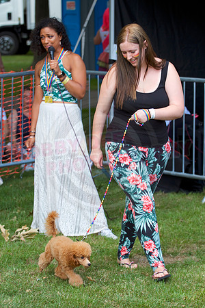 Essex Pride Dog Show Chelmsford