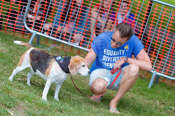 Essex Pride Dog Show Chelmsford