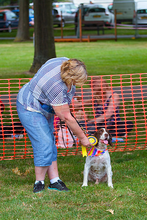 Essex Pride Dog Show Chelmsford
