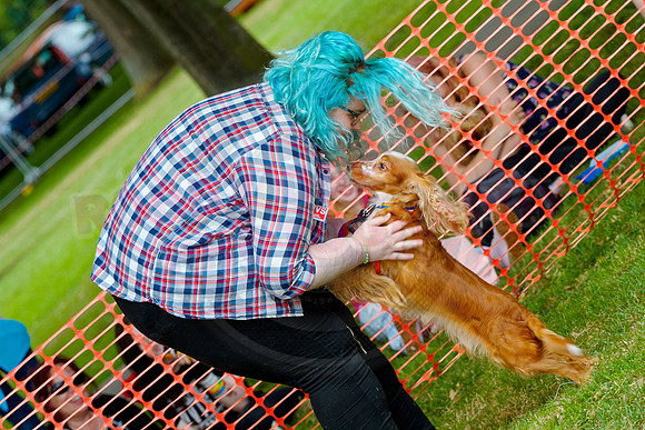 Essex Pride Dog Show Chelmsford