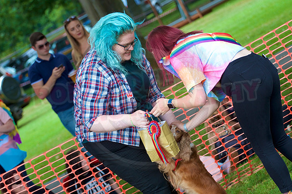 Essex Pride Dog Show Chelmsford