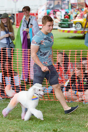Essex Pride Dog Show Chelmsford