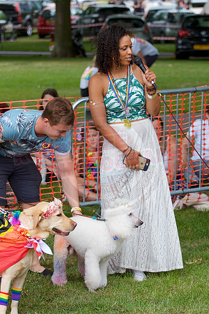 Essex Pride Dog Show Chelmsford