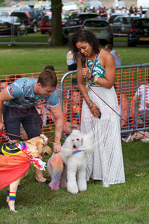 Essex Pride Dog Show Chelmsford
