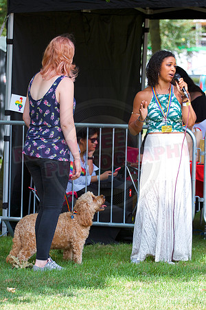 Essex Pride Dog Show Chelmsford