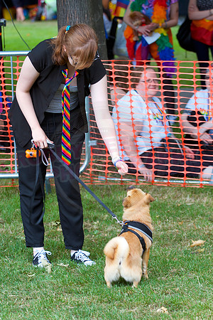 Essex Pride Dog Show Chelmsford