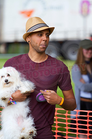 Essex Pride Dog Show Chelmsford