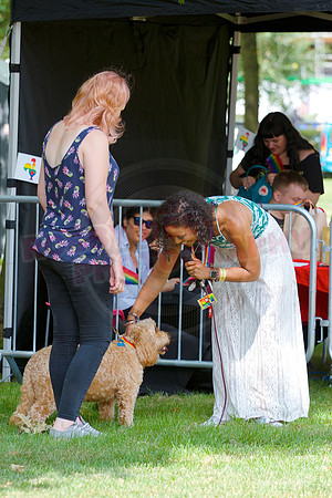 Essex Pride Dog Show Chelmsford