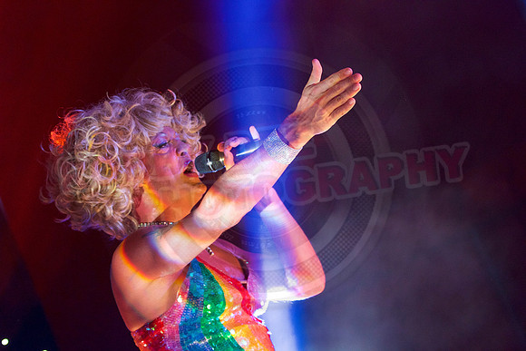 Essex Pride2017 Stage Acts