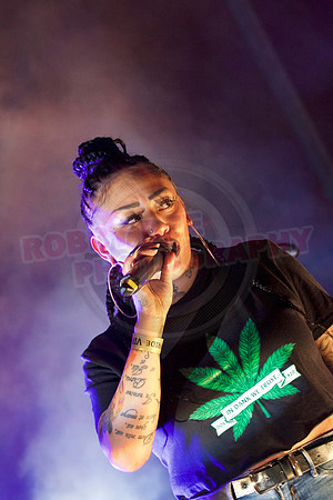 Essex Pride2017 Stage Acts