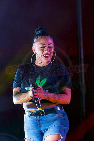 Essex Pride2017 Stage Acts