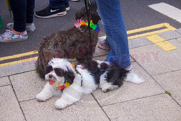 Norwich Pride 2017.