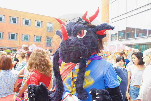 Norwich Pride 2017.