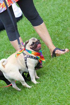 Norwich Pride 2017.
