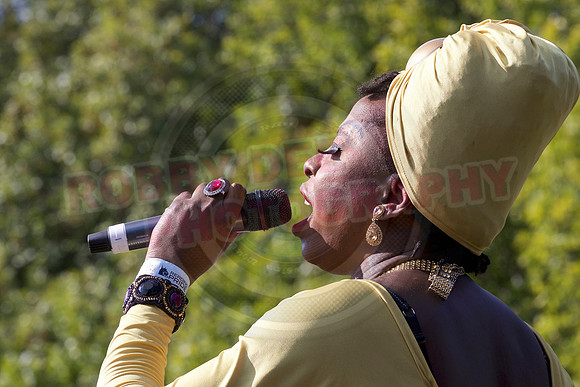 Reading Pride Image 52