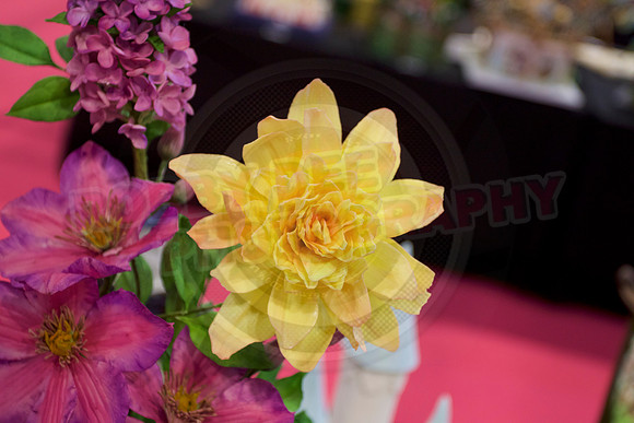 Cake international November Friday