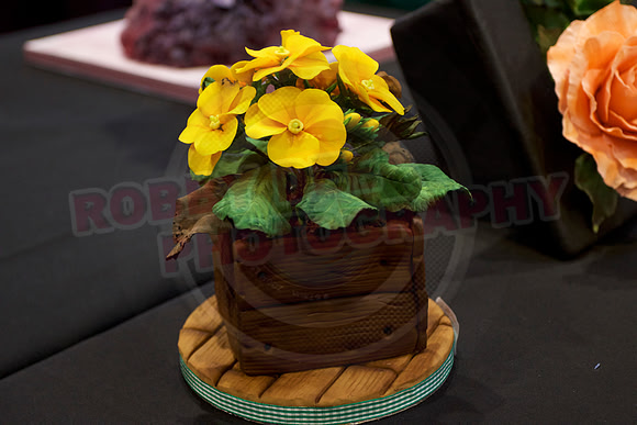 Cake international November Friday