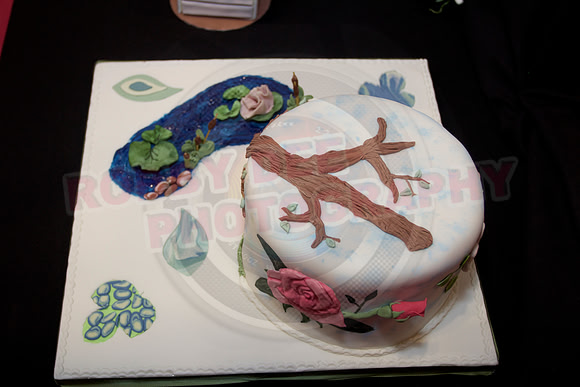 Cake international November Friday