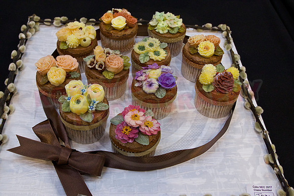 Cake International Cupcakes & Festive Cookies