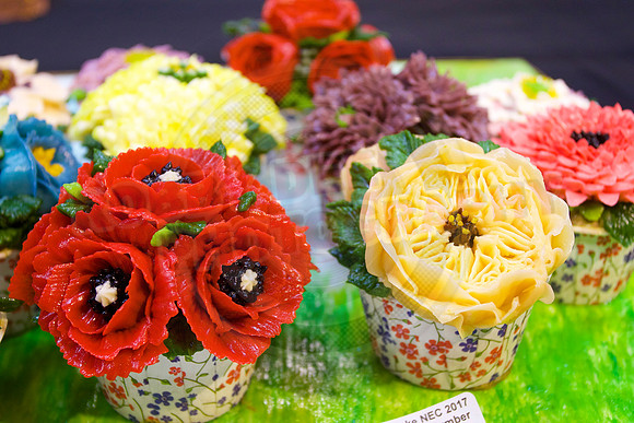 Cake International Cupcakes & Festive Cookies