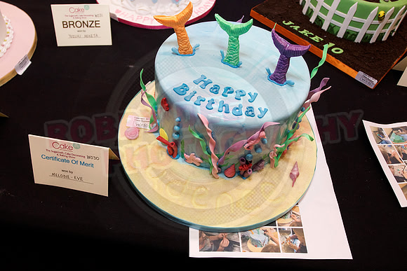 Cake International Cake Entries
