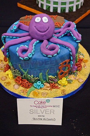 Cake International Cake Entries
