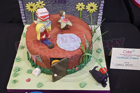 Cake International Cake Entries