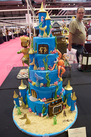 Cake International Cake Entries