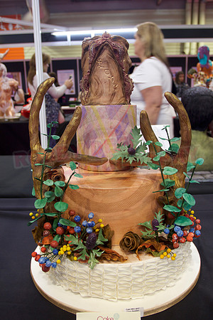 Cake International Cake Entries