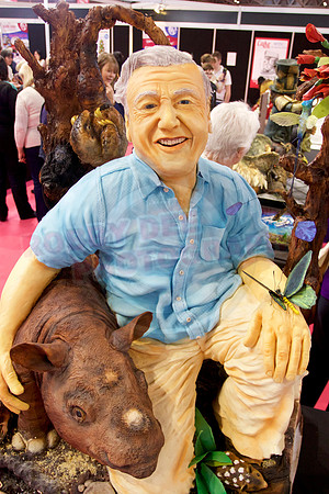 Cake International Cake Entries