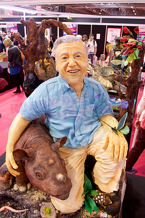 Cake International Cake Entries
