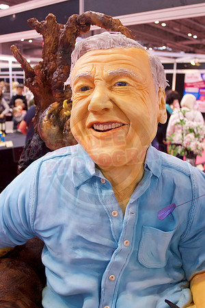 Cake International Cake Entries